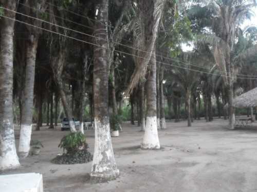SAM_8399