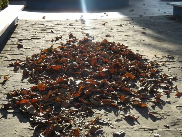 16323_741673145897006_3518828707014559145_n