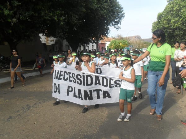 Dia da Árvore: alunos da Escola Pitágoras e do Colégio Pitágoras II participam de passeata 3 SAM_9289