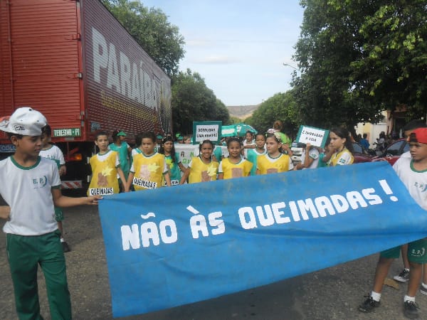 Dia da Árvore: alunos da Escola Pitágoras e do Colégio Pitágoras II participam de passeata 22 SAM_9313