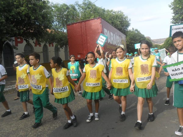 Dia da Árvore: alunos da Escola Pitágoras e do Colégio Pitágoras II participam de passeata 23 SAM_9315