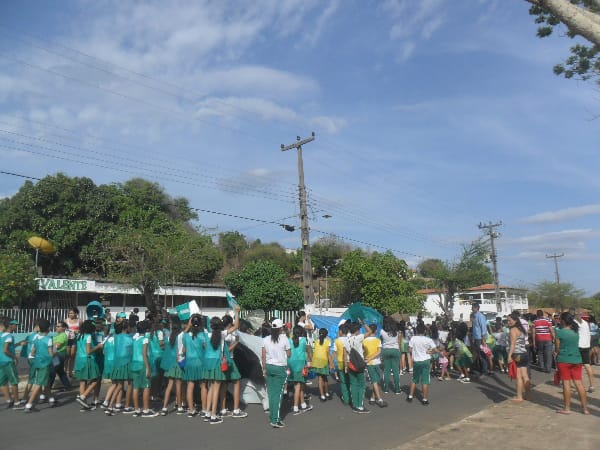 Dia da Árvore: alunos da Escola Pitágoras e do Colégio Pitágoras II participam de passeata 26 SAM_9343