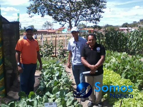 Portal Somos Noticia 000 Amarante