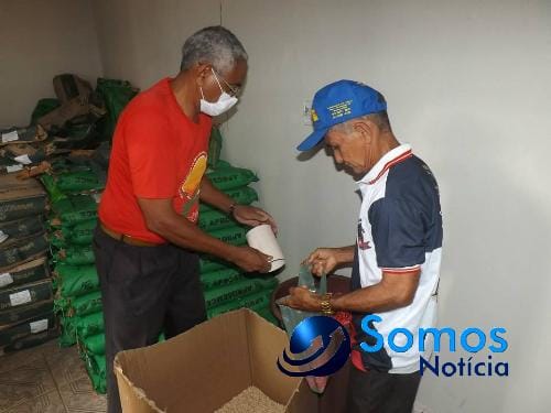 Portal Somos Noticia 003 Amarante