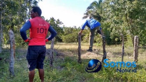 Portal Somos Noticia007 Amarante