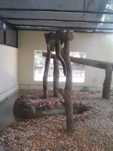 20150612_141550