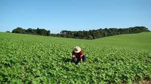 Dia do Agricultor4