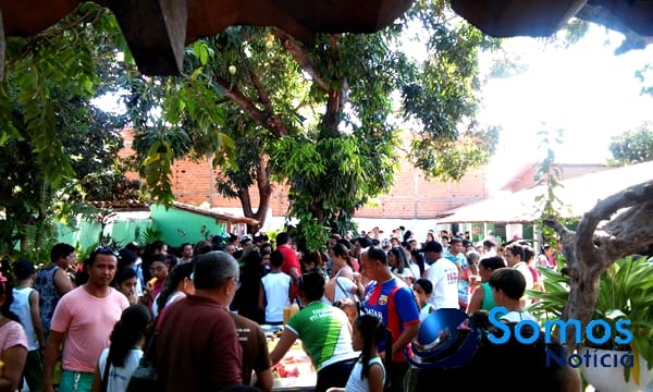 Escolas de Amarante participam de projeto do Pitágoras e Pitágoras II sobre Dia da árvore; fotos 4 Somos Notícia 20150921062013