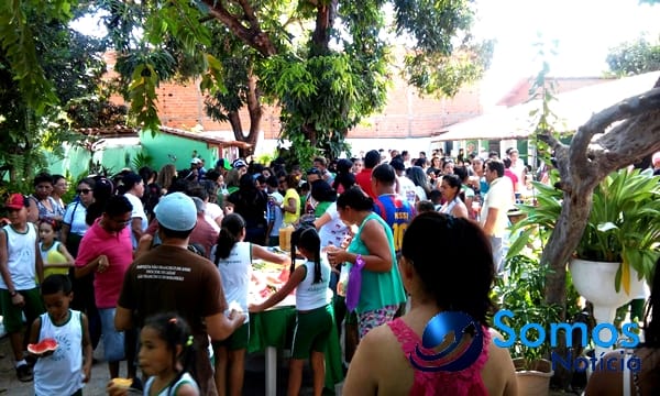 Escolas de Amarante participam de projeto do Pitágoras e Pitágoras II sobre Dia da árvore; fotos 7 Somos Notícia 20150921062045 (1)