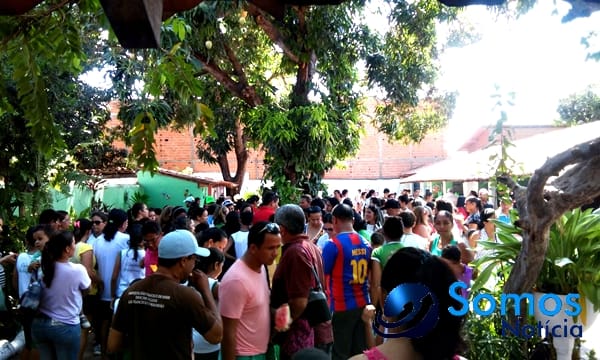 Escolas de Amarante participam de projeto do Pitágoras e Pitágoras II sobre Dia da árvore; fotos 8 Somos Notícia 20150921062045