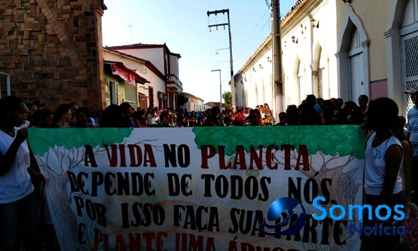Escolas de Amarante participam de projeto do Pitágoras e Pitágoras II sobre Dia da árvore; fotos 9 Somos Notícia 20150921062209