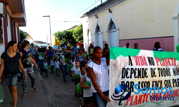 Escolas de Amarante participam de projeto do Pitágoras e Pitágoras II sobre Dia da árvore; fotos 10 Somos Notícia 20150921062228