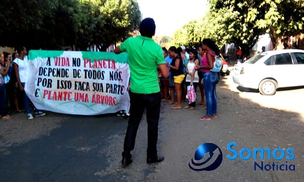 Escolas de Amarante participam de projeto do Pitágoras e Pitágoras II sobre Dia da árvore; fotos 11 Somos Notícia 20150921062233