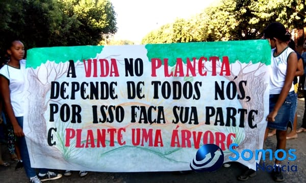 Escolas de Amarante participam de projeto do Pitágoras e Pitágoras II sobre Dia da árvore; fotos 13 Somos Notícia 20150921062250