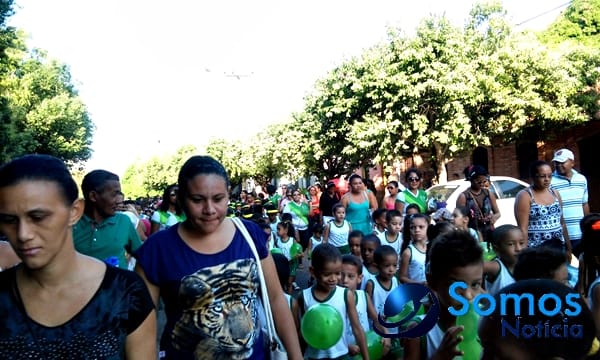 Escolas de Amarante participam de projeto do Pitágoras e Pitágoras II sobre Dia da árvore; fotos 14 Somos Notícia 20150921062300