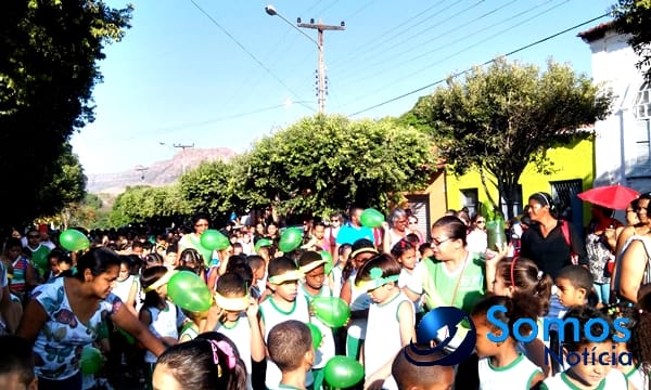 Escolas de Amarante participam de projeto do Pitágoras e Pitágoras II sobre Dia da árvore; fotos 16 Somos Notícia 20150921062313 (1)