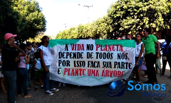 Escolas de Amarante participam de projeto do Pitágoras e Pitágoras II sobre Dia da árvore; fotos 17 Somos Notícia 20150921062313