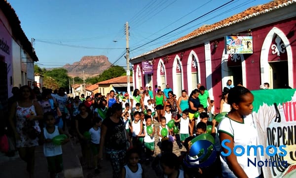 Escolas de Amarante participam de projeto do Pitágoras e Pitágoras II sobre Dia da árvore; fotos 19 Somos Notícia 20150921062504