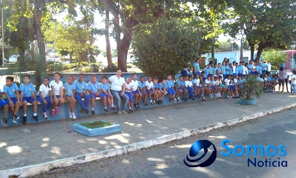 Escolas de Amarante participam de projeto do Pitágoras e Pitágoras II sobre Dia da árvore; fotos 24 Somos Notícia 20150921062750 (1)