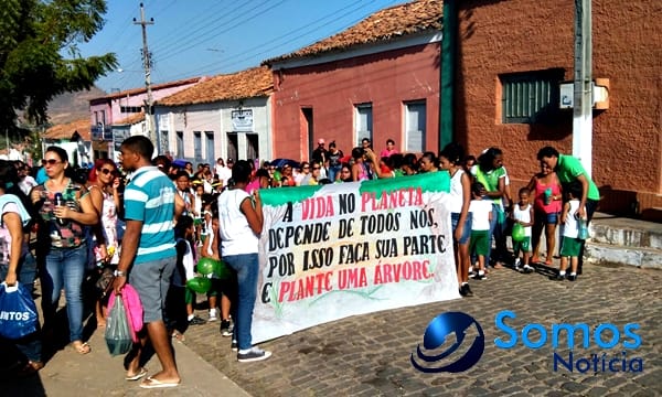 Escolas de Amarante participam de projeto do Pitágoras e Pitágoras II sobre Dia da árvore; fotos 30 Somos Notícia 20150921062833