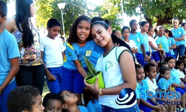 Escolas de Amarante participam de projeto do Pitágoras e Pitágoras II sobre Dia da árvore; fotos 37 Somos Notícia 20150921063107
