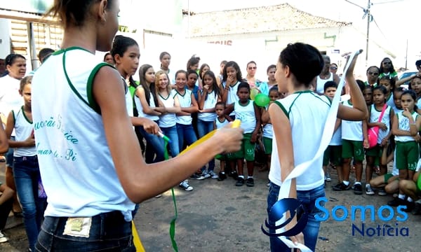 Escolas de Amarante participam de projeto do Pitágoras e Pitágoras II sobre Dia da árvore; fotos 46 Somos Notícia 20150921063319