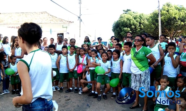 Escolas de Amarante participam de projeto do Pitágoras e Pitágoras II sobre Dia da árvore; fotos 47 Somos Notícia 20150921063325
