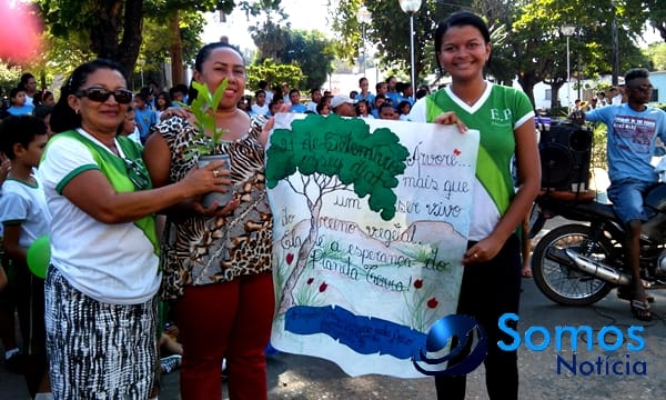 Escolas de Amarante participam de projeto do Pitágoras e Pitágoras II sobre Dia da árvore; fotos 48 Somos Notícia 20150921063333