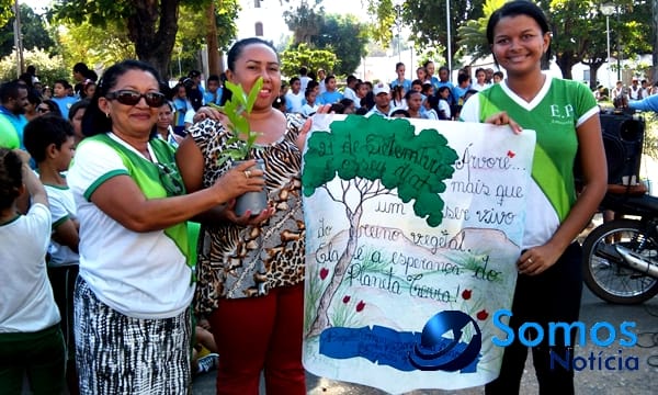 Escolas de Amarante participam de projeto do Pitágoras e Pitágoras II sobre Dia da árvore; fotos 49 Somos Notícia 20150921063337