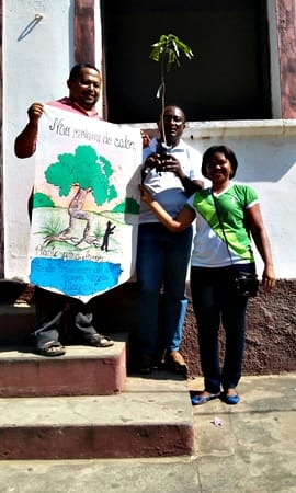 Escolas de Amarante participam de projeto do Pitágoras e Pitágoras II sobre Dia da árvore; fotos 50 Somos Notícia 20150921063451