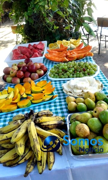 Escolas de Amarante participam de projeto do Pitágoras e Pitágoras II sobre Dia da árvore; fotos 60 Somos Notícia 20150921070107 (1)
