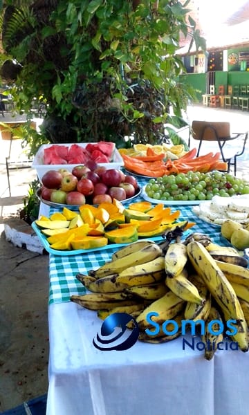 Escolas de Amarante participam de projeto do Pitágoras e Pitágoras II sobre Dia da árvore; fotos 63 Somos Notícia 20150921070107 (4)