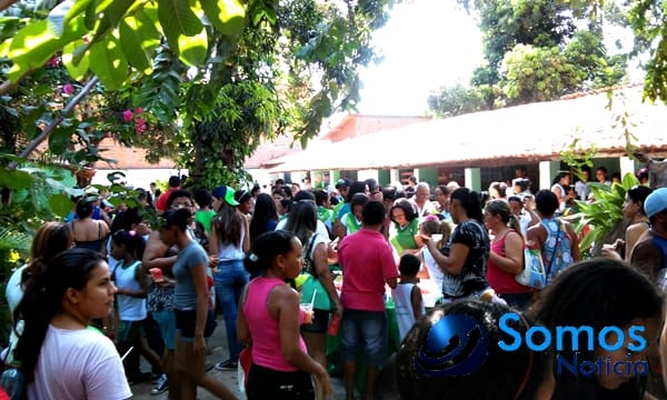 Escolas de Amarante participam de projeto do Pitágoras e Pitágoras II sobre Dia da árvore; fotos 68 Somos Notícia 20150921082331