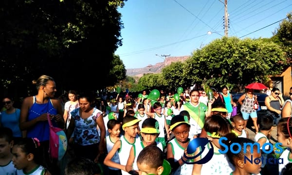 Escolas de Amarante participam de projeto do Pitágoras e Pitágoras II sobre Dia da árvore; fotos 69 Somos Notícia 20150921082517