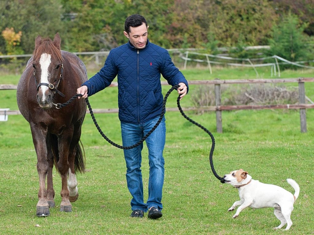 Silvestre-de-Sousa2