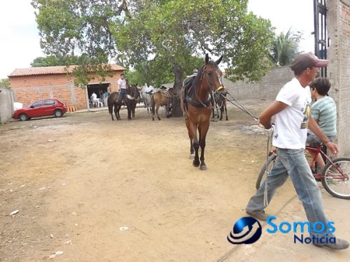 Silvestre de SousaDSCF1525