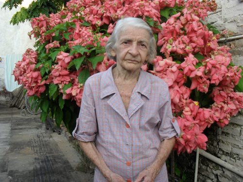 dona luisa