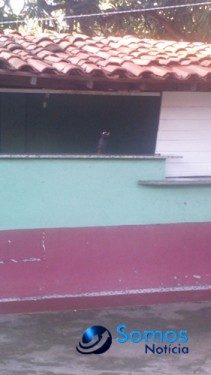 Palestra IMG-20160311-WA0026