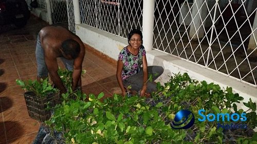 caju 20160402_190947