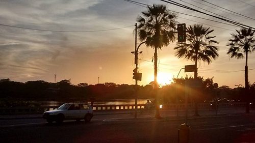 modelo10632842_382862415232128_7530797968874322632_n