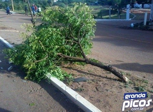 veiculo colide em poste