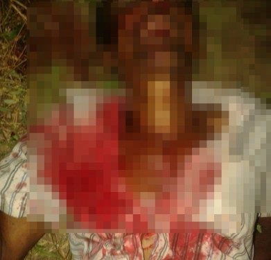 Assassinato em Regeneração