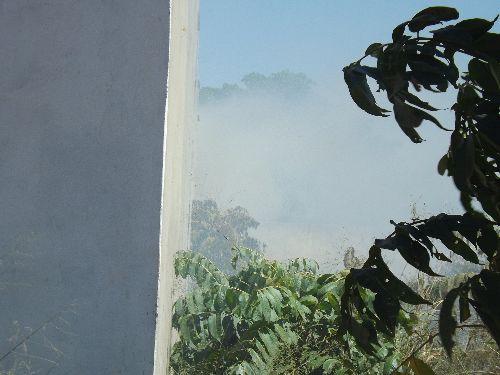 DSCF2165