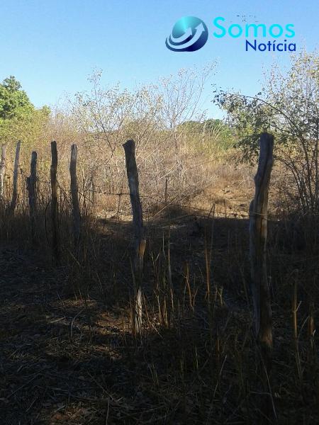 propriedade rural foto12