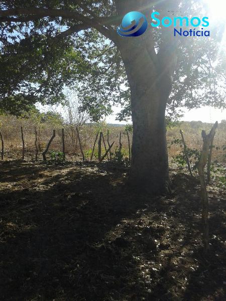 propriedade rural foto15