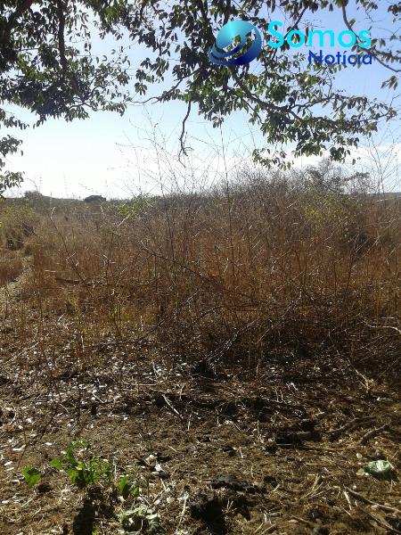 propriedade rural foto16