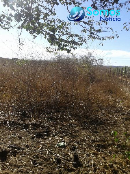 propriedade rural foto18
