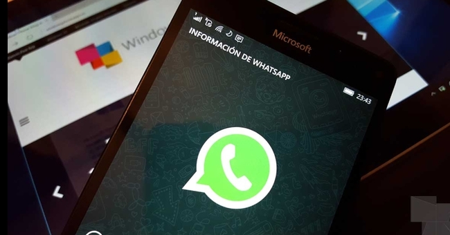 qualquer formato whatsapp arquivos formatos