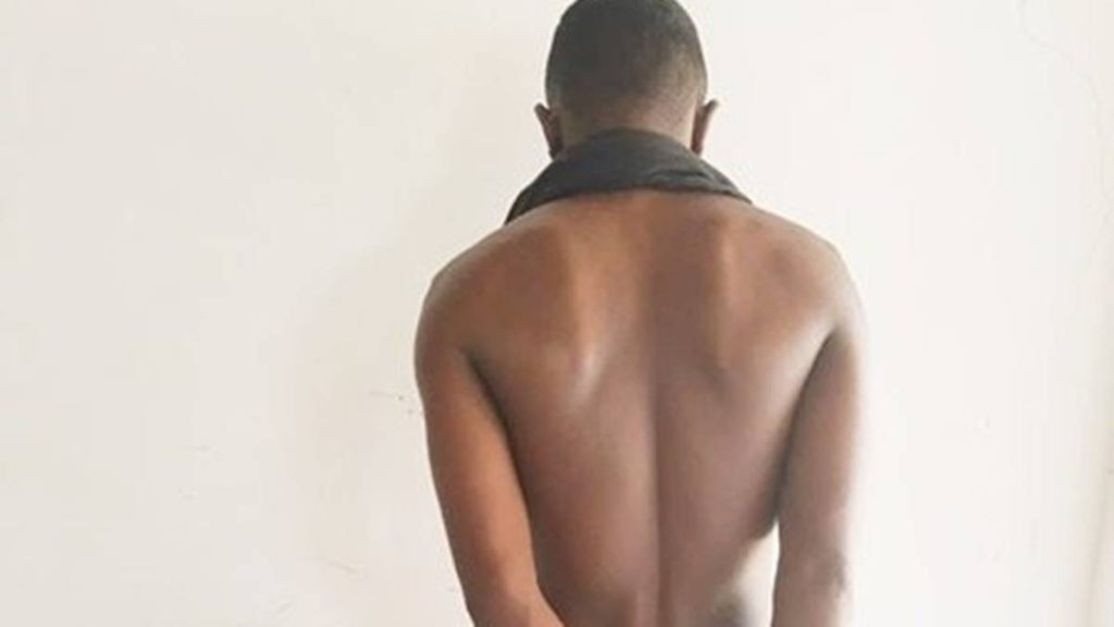 suspeito de matar tio ansljfnlaepraksjsdlfkabkda