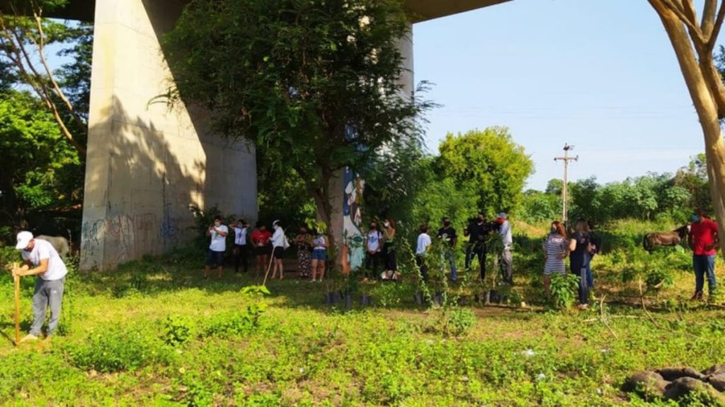 Voluntários plantam 100 mudas em Teresina homenageando vítimas da Covid-19